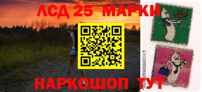 apvp Канаш