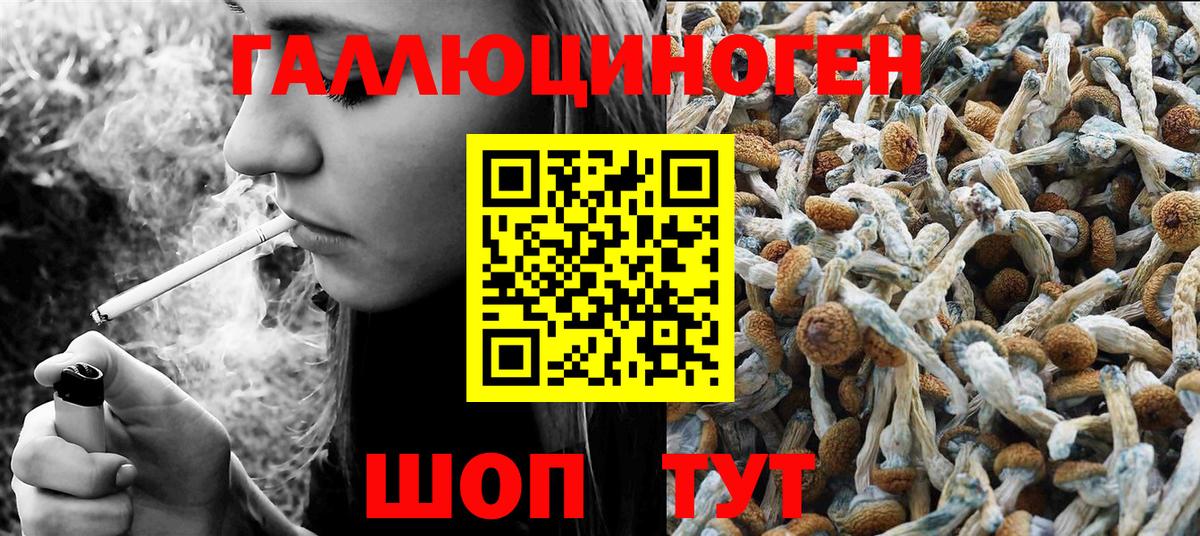 Псилоцибиновые грибы Psilocybe  Галлюциногенные грибы Magic Shrooms  Благовещенск  Вход с VPN 