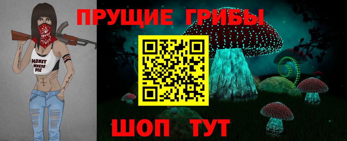 Галлюциногенные грибы Psilocybe Благовещенск